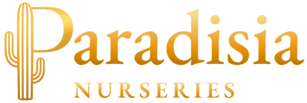 Paradisia Nurseries